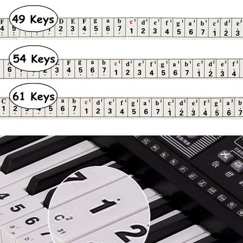 49/54/61 Key Electronic Keyboard Piano Stickers Note Piano Practice Self-learn Piano Keys Labeled, Musical Instruments For Toddlers, Piano Stickers, Keyboard Sticker, Musical Instruments Drawing, Homemade Musical Instruments, Learning Piano, Easy Piano Songs, Kids Musical Instruments