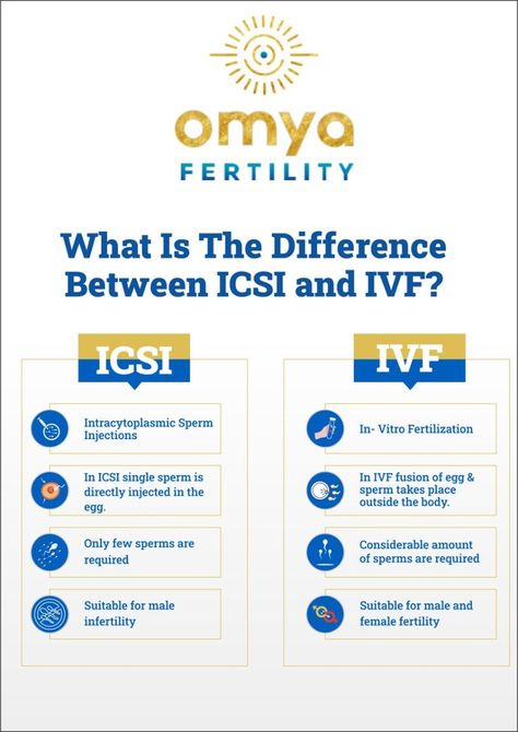 IVF and ICSI are the most common fertility treatments. Here, we will take you through both these procedures, the conditions when these are recommended, the difference between IVF and ICSI, and which is better? Ovulation Cycle, Ivf Procedure, Low Sperm Count, Fertility Problems, Ivf Cycle, Embryo Transfer, Female Fertility, Fertility Center, Fallopian Tubes