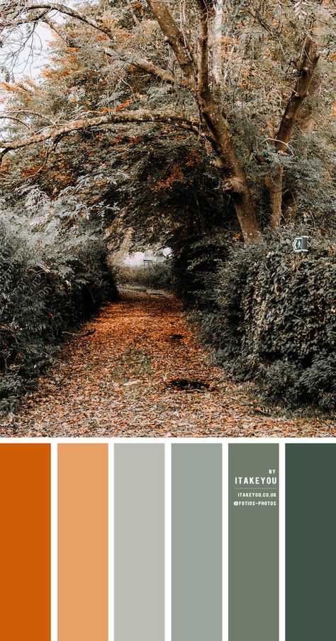 colour palettes Archives 2 - I Take You | Wedding Readings | Wedding Ideas | Wedding Dresses | Wedding Theme Rust Colour Combination, Rust Color Schemes, Sage Color Palette, Rust Colour, Instagram Wall, Desain Ui, Wedding Readings, Orange Color Palettes, Yellow Colour Scheme