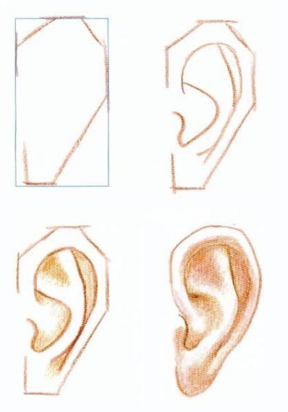 Ear Shapes, Face Art Drawing, Human Body Drawing, Pencil Drawings For Beginners, Human Ear, Drawing Tutorial Face, Fashion Drawing Sketches, 얼굴 그리기, Portraiture Drawing