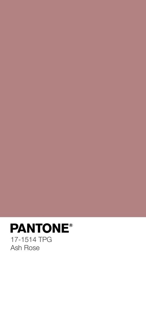 Mauve Color Aesthetic, Color Palette Pantone, Rose Color Palette, Ashes Of Roses, Old Rose Color, Logos Color, Soft Summer Colors, Pantone Palette, Pantone Colour Palettes