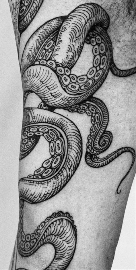 Vintage Octopus Tattoo, Tentacle Arm Tattoo, Big Octopus Tattoo, Octopus Tattoo Wrapped Around Arm, Tentacle Tattoo Leg, Octopus Tattoo Leg, Tentical Tattoo, Octopus Tattoo Arm, Octopus Tentacles Tattoo