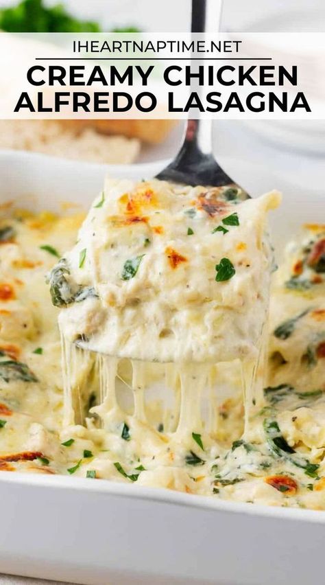 Chicken Alfredo Lasagna Recipe, Chicken Spinach Lasagna, Cream Spinach, Creamy Chicken Alfredo, Chicken Lasagne, White Chicken Lasagna, Chicken Lasagna Recipe, Creamy White Sauce, Chicken Alfredo Lasagna