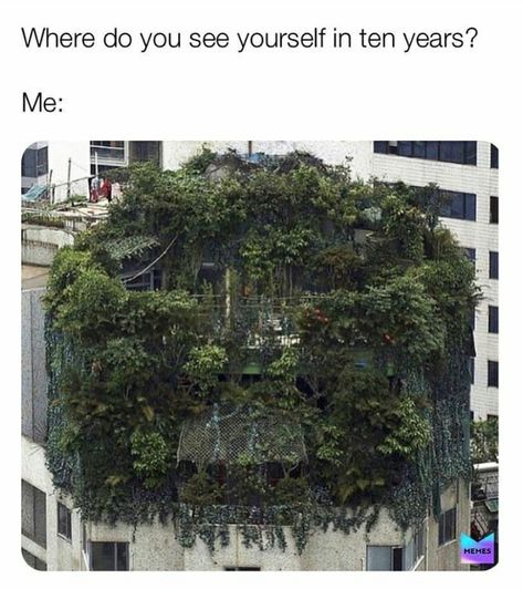 60 Plant Memes For You To Dig Through - Funny Gallery Plant Jokes, Gardening Memes, Gardening Humor, Funniest Memes, Plant Mom, Plant Lady, Plant Life, Plant Lover, Green Thumb