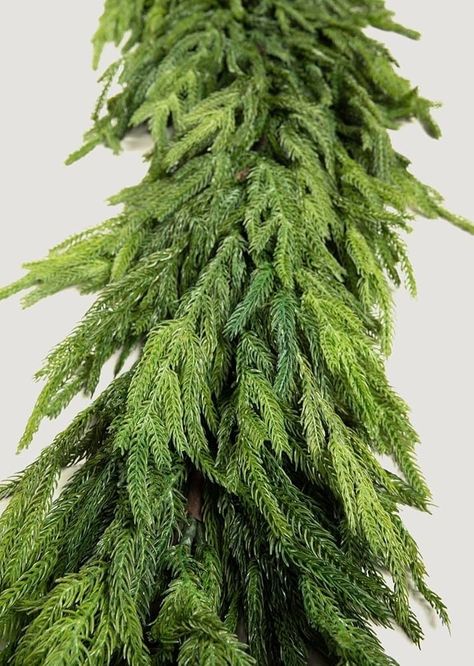 Amazon.com: Afloral Real Touch Deluxe Norfolk Pine Garland - 96" : Home & Kitchen Norfolk Pine Garland, Hanging Plants Outdoor, Norfolk Pine, Winter Greenery, Christmas Dinner Party, Pine Garland, Artificial Plants Outdoor, Artificial Greenery, Pine Wreath