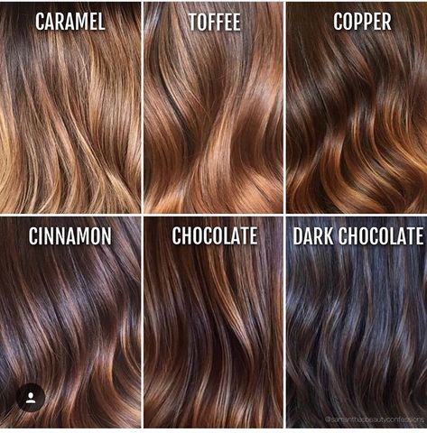 Different Shades Of Brown Hair, Dark Chocolate Hair Color, Shades Of Brown Hair, Brown Hair With Caramel, Dark Chocolate Hair, Different Shades Of Brown, Brunette Medium, Brown Hair Shades, Hair Color Chocolate