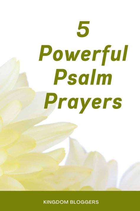 Psalm Prayers are powerful prayers! The book of Psalms is such a powerful tool for prayer. There are so many perfect words to speak to the Lord. Book Of Psalms Scriptures, Psalms To Pray, Pslam91 Prayer, Prayers Before Reading The Bible, Psalms 91 Prayer, Psalm 91 Prayer Of Protection, Psalms For Healing, Psalms Prayers, Psalm Prayers