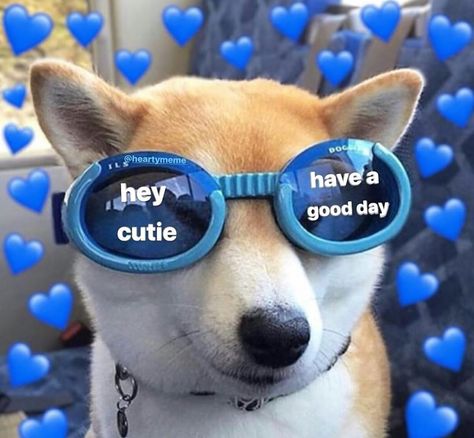 Send/Tag this to brighten up their day 💐❤️. Follow @heartymeme for more wholesome memes ❤️. #uwumemes #cutememes #iloveyoumemes #wholesomes… Hey Cutie, Hello Memes, Wholesome Pictures, Couple Memes, Cute Text Quotes, Cute Love Memes, Good Morning Texts, I Love My Girlfriend, Cute Messages