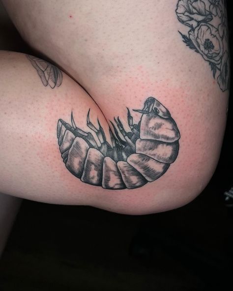 💥 KNEE SHOT💥 thank you for the trust @isa.m.madera! I love this placement! Who else played with Rollie Pollies as a kid? . . Artist: @sicknesstattoos Done at @rotorandkoiltattooparlor . TATTOO INQUIRY! 🐜 NAME/PRONOUNS 🐛 DESIGN REFERENCES/DESCRIPTION 🪲 APPROX. SIZE 🐞 BUDGET (optional) 🕷️ DAYS AVAILABLE . . . DM to book an appointment! Or text (213)465-0112 . Located in DTLA @rotorandkoiltattooparlor . . . . . . . . #losangelestattoos #DTLA #ArtsDistrict #sicknesstattoos #tattooideas ... Rollie Pollie Tattoo, Rolly Polly Tattoo, Rollie Pollie, Los Angeles Tattoo, Elbow Tattoos, Knee Tattoo, Book An Appointment, Permanent Marker, Tattoo Inspo