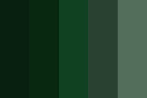 Cactus 2 color palette Green Pallet, Green Color Names, Green Color Scheme, Military Color, Create Color Palette, Army Colors, Dark Color Palette, Color Schemes Colour Palettes, Green Colour Palette