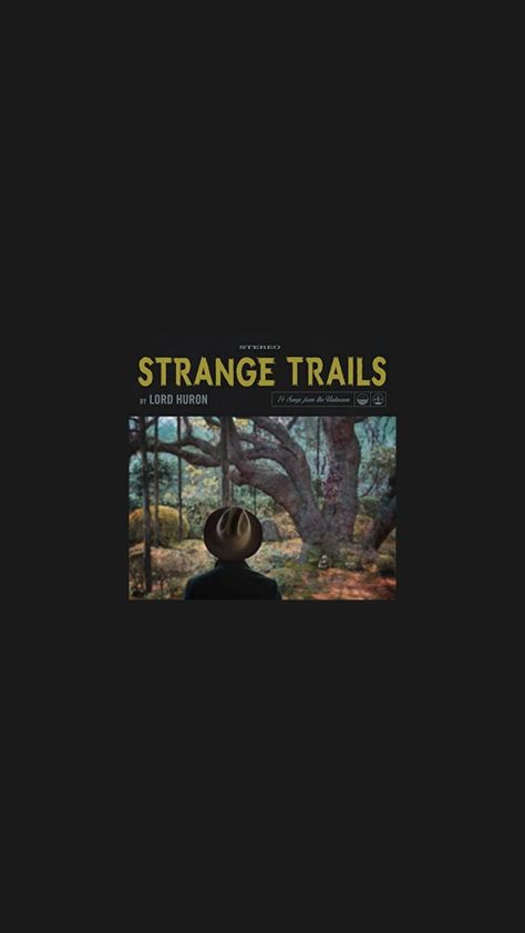 Lord Huron Wallpaper, Lord Huron Strange Trails, Lord Huron Aesthetic, Strange Trails, Lord Huron, Poster Ideas, Cool Backgrounds, The Album, Button Pins