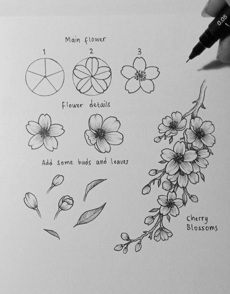 Cherry Blossom Ink Drawing, How To Draw Blossom Flower, Flower Art Drawing Step By Step, How To Draw A Japanese Cherry Blossom, Drawing Tutorial Flower Step By Step, Japanese Blossom Drawing, How To Draw Cherry Blossom Flowers, Cherry Blossom Sketch Simple, Flower Drawing Cherry Blossom