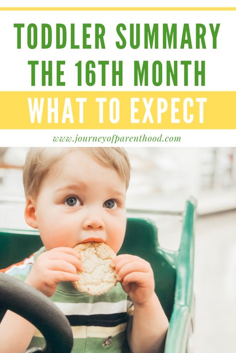 Toddler summary of the 16th month of life: what to expect at 15 months old. Milestones, development, eating, sleeping, schedule and more for your one year old. #toddlersummary #toddlerlife 16 Month Old Sleep Schedule, 16 Month Old Schedule, 16 Month Milestones, 15 Month Old Milestones, 16 Month Old Development, Sleeping Schedule, Toddler Speech, Development Milestones, Toddler Schedule