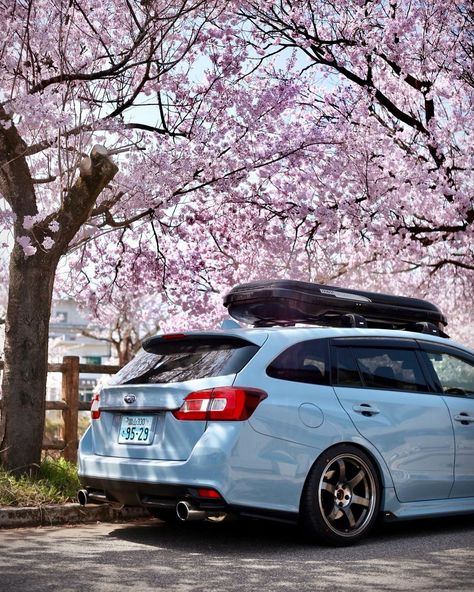 Instagram 上的PAF_vmg：「ケツがすき🌸 #levorg #subarulevorg #subaru #subie #subienation #wrxwagon #vmg #coolgraykhaki #rays #rayswheels #volkracing #te37sagasl #thule…」 Subaru Outback Offroad, Subaru Wagon, Wrx Wagon, Subaru Levorg, Wagon Cars, Whoop Whoop, Legacy Outback, Car Illustration, Subaru Outback