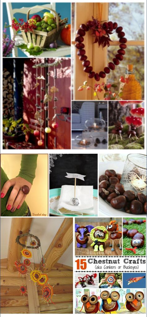 20+ Ideas to decorate with chestnuts 🌰 (a.k.a. horsenuts, buckeyes, conkers) Crafts Using Buckeyes, Craft Ideas Using Buckeyes, Crafts With Buckeyes, Conker Decorations, Buckeye Nut Crafts, Buckeye Crafts Ideas, Buckeyes Crafts, Conkers Craft, Buckeye Crafts