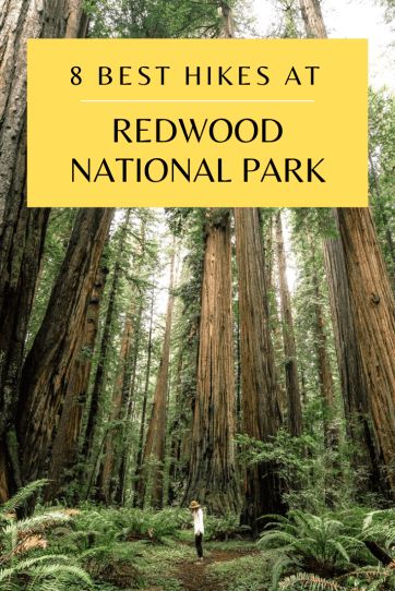 Looking for the BEST hikes in Redwood National Park? We have you covered. Here's a list of the 8 BEST hikes in Redwood National Park, along with photos!  #redwoodnationalpark #redwood #nationalparks #visitcalifornia #besthikes Zion National Park Hikes, Redwood National And State Parks, Portland Travel, Redwood National Park, Hiking National Parks, Redwood Forest, Visit California, California Travel Road Trips, California National Parks