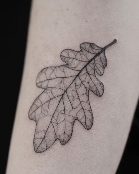 Alina | Fineline Tattoo Artist on Instagram: “O A K L E A F Thank you so much Alena 🙏🖤🌿 #bunamiink #oaktattoo #oakleaf” Fine Line Oak Leaf Tattoo, Skeleton Leaf Tattoo, Oak Leaf Tattoo Design, Tattoo Oak Leaf, Oak Leaves Tattoo, Etched Tattoo, Oak Leaf Tattoo, Oak Tattoo, Ogham Tattoo