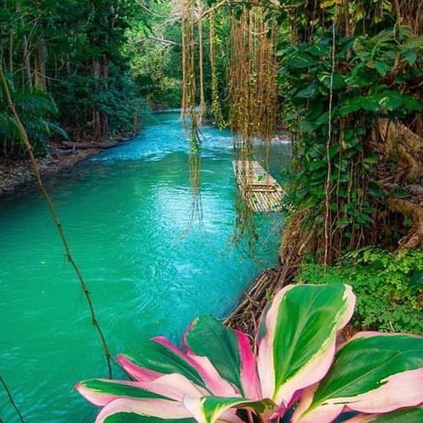 Vibrant Colors & Destinations 💚 Welcome to Destination Ochie | A community of brands that symbolize the women who are born in the islands, the women who visit the islands, and the women who embody the spirit of the islands - wherever around the world we may wander. www.DestinationOchie.com #Jamaica #DestinationOchie #Favorite #Locations #Travel #Wander #Luxury #Resort #OchieLife #MultiBrand #Resortwear #Swimwear #Accessories Visit Jamaica, Jamaica Vacation, Jamaica Travel, Senior Trip, My Spirit, Dream Holiday, Vacation Places, Sand Dollar, Island Life