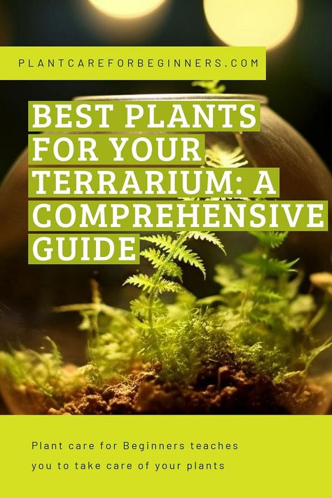 Looking to make a terrarium but not sure where to start? This beginner's guide has got you covered! Learn all the basics of how to create a mini garden in a jar, including plant selection, common problems, and more. Follow these step-by-step instructions and have fun! Garden In A Jar, Make A Terrarium, Large Terrarium, Open Terrariums, Fish Tank Terrarium, Small Terrarium, Best Plants, Fast Growing Plants, Dry Plants