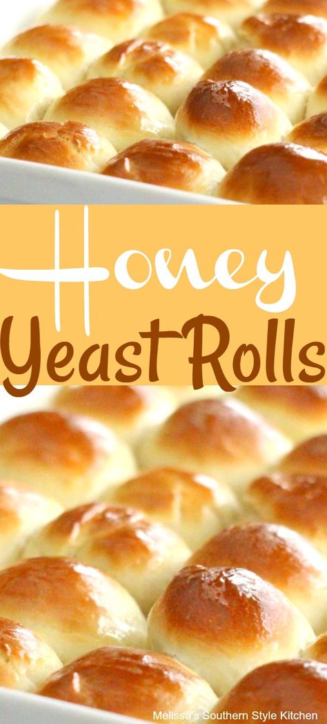 Honey Rolls Recipe, Yeast Rolls Easy, Easy Yeast Rolls Recipe, Honey Rolls, Honey Yeast Rolls, Dinner Rolls Recipe Homemade, Honey Dinner, Easy Yeast Rolls, Homemade Yeast Rolls