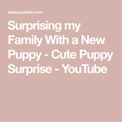 Surprising my Family With a New Puppy - Cute Puppy Surprise - YouTube Puppy Gift Surprise, Puppy Reveal, Child And Dog, Puppy Surprise, Best Friend For Life, Meet Cute, Cute Beagles, Beagle Puppy, Surprise Me