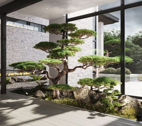 Stairway Landing, Dean Thomas, Tattoo Plant, Japanese Garden Landscape, Courtyard Landscaping, Japanese Home Design, Inside Garden, Zen Garden Design, Modern Backyard Landscaping