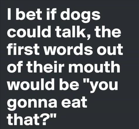 If Dogs Could Talk, Fun Sayings, Talking Quotes, Word Out, Dog Quotes, A Quote, Bones Funny, Image Quotes, The Words