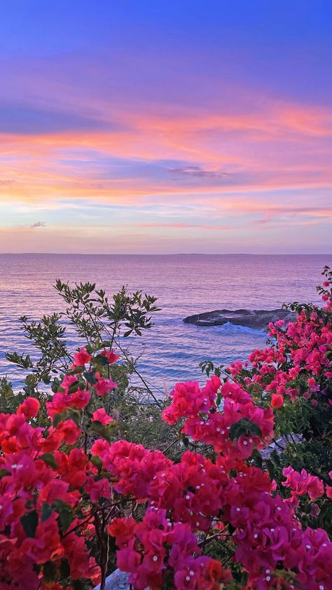 Flowers, sunset, beach and bliss...what more do we really need? Magical sunsets from Celeste at Malliouhana Auberge really lift your spirit on Meads Bay in the northern coast of Anguilla #meditation #relaxation #beach #ocean #sunset #travel @aubergeresorts @MalliouhanaAuberge Flowers Sunset, Sunset Travel, Ocean Sunset, Sunset Beach, Pink Flowers, Relaxation, Meditation, Flowers, Travel