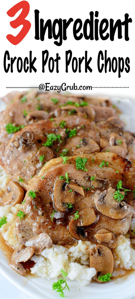 Let the slow cooker do all the work on this 3 Ingredient Crock Pot Pork Chops recipe. It takes less than 5 minutes to put together, and then at the end of a busy day, you dinner is waiting for you. Served with mashed potatoes to hold all that scrumptious gravy, this is the best comfort food ever. This pork chop recipe is so versatile, the mushrooms are optional! Crock Pot Pork Chops, Pork Crock, Crock Meals, Pork Chop Recipes Crockpot, Crock Pot Pork, Mushroom Soup Recipe, Pork Chops And Gravy, Pork Chop Recipe, Recipe Pork