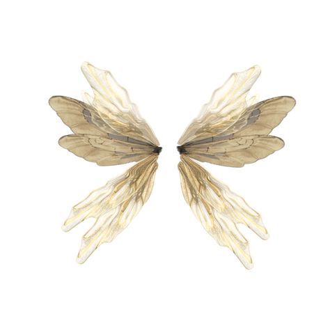 Cottagecore Png, Elf Wings, Accessories Png, Pixie Wings, Wings Png, Fairy Accessories, Vintage Png, Png Aesthetic, Fairy Aesthetic