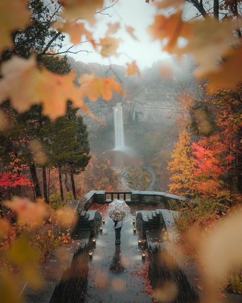 *** Under The Rain, Orange Leaves, Aesthetic Autumn, Quiet Place, Aesthetic Fall, Autumn Beauty, Autumn Vibes, Fall Pictures, Best Seasons