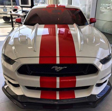 Nice. New Car Photo, 2017 Mustang, Red Mustang, Super Fast Cars, Top Luxury Cars, Mustang Ii, Lux Cars, Shelby Cobra, Mustang Cars