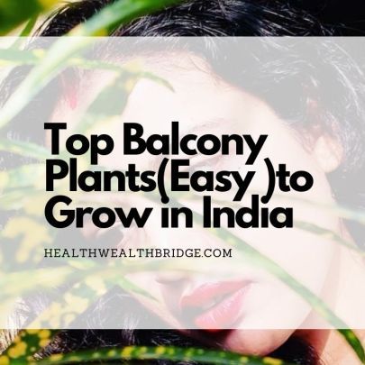 14 Balcony Garden (Easy) Plants to Grow in India - Healthwealthbridge Indian Flowering Plants For Balcony, All Season Flowering Plants In India, Flowering Plants In India, All Year Round Plants, Thulasi Plant, Flowering Shade Plants, Plants For Small Gardens, Year Round Flowers, Easiest Flowers To Grow