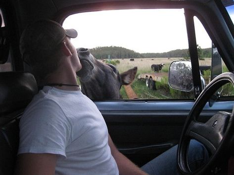 that's a country boy for ya. <-- think i could marry this guy Dino Merlin, Cow Boys, The Cardigans, Farm Boys, John Denver, Cowboy Up, Country Men, Cute N Country