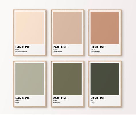 Beige Pantone, Pantone Print, Japandi Home Decor, Japandi Bedroom, Japandi Home, Pantone Palette, House Color Palettes, Small Bedrooms, Japandi Interior