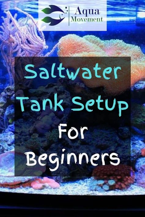 Saltwater aquariums are the perfect way to bring the ocean home with you. So read on and learn how to get the best saltwater tank setup for beginners! Small Salt Water Aquarium, Small Saltwater Aquarium, Salt Water Tank Beginner, Salt Water Tank Ideas, Salt Water Aquarium Ideas, Small Saltwater Tank, Saltwater Tank Setup, Saltwater Aquarium Beginner, Seahorse Aquarium