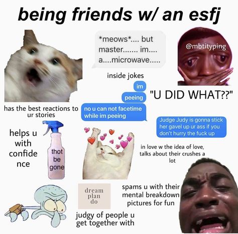 minastyping on ig (don’t use 16personalities) Esfj And Infj Relationship, Esfj Personality, Infp Relationships, 16 Personality Types, Infj Type, Mbti Memes, Mbti Relationships, Mbti Character, Myers–briggs Type Indicator