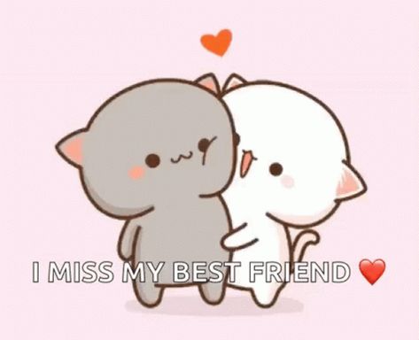 Cute Cat GIF - Cute Cat Cats - Discover & Share GIFs Cute Cat Gif, Cat Gif, Animated Gifs, I Miss You, Mochi, Miss You, Animated Gif, Cute Cat, Gif