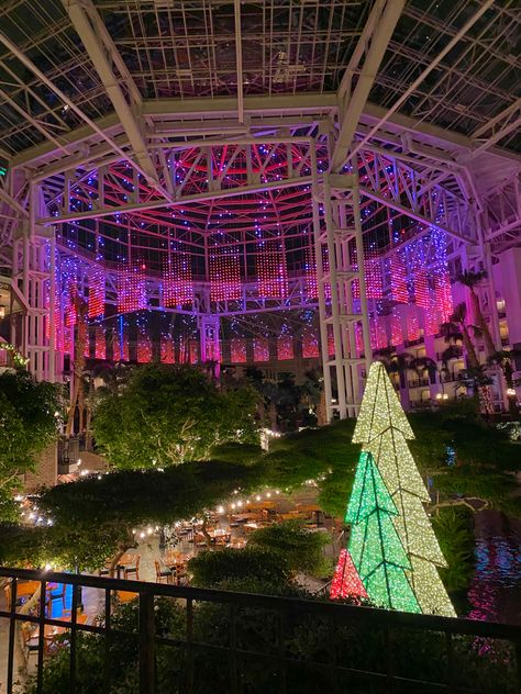 Opryland Resort Nashville Christmas, Nashville Tennessee Christmas, Gaylord Opryland Resort Nashville, Gatlinburg Tennessee Christmas, Christmas In Nashville, Nashville Christmas, Emma Gonzalez, Academia House, Bday Vibes