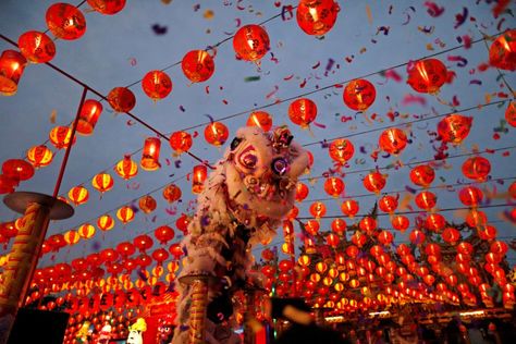 Unlike our New Year celebrations, Chinese New Year is never on a fixed date. Find out about the 2018 festivities... Chinese New Year Eve, Human Migration, Zodiac Years, Chinese New Year 2020, Chinese Aesthetic, Chinese New Year Decorations, Chinese People, Asia Tenggara, Lion Dance