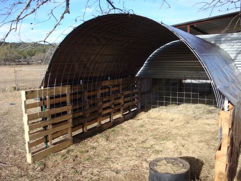 DIY Sheep and Llama Shelter – I did it! – Spirited Ewe Llama Shelter, Sheep Shelter Ideas, Diy Sheep, Sheep Shelter, Sheep House, Sheep Pen, Goat Shed, Livestock Shelter, Goat Shelter