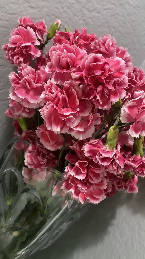 Carnation Flower Bouquet Simple, Listhanthus Flowers, Carnation Flower Wallpaper, Carnation Flower Aesthetic, Carnations Aesthetic, Pink Carnation Bouquet, Christmas Crafts Adults, Spray Carnation, Carnation Flower Bouquet