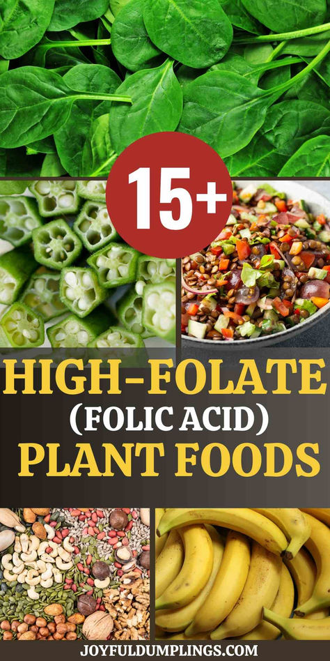 Are you struggling to incorporate enough folate into your diet? Folate, also known as vitamin B9, is a nutrient that’s immensely crucial for our wellbeing.  Here, we will guide you through the potent powerhouses of folate—vegetables! Prepare to supercharge your meals, one bite at a time. Foods High In Folate, Folate Rich Foods, Folate Foods, Mineral Nutrition, Dark Green Vegetables, Vitamin B9, Vegan Salad Recipes, Pregnancy Food, Vegan Salad