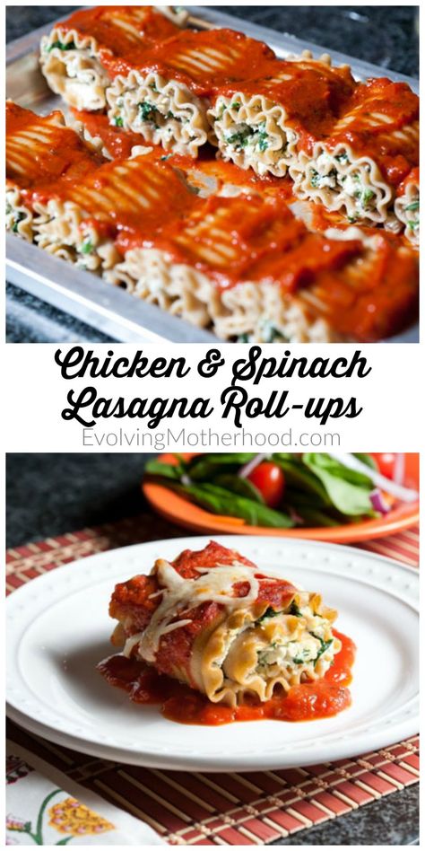 Chicken And Spinach Lasagna, Spinach Lasagna Roll Ups, Chicken Spinach Lasagna, Lasagne Roll Ups, Chicken Lasagna Rolls, Recipes Lasagna, Italian Dinners, Spinach Lasagna Rolls, Recipe Spinach