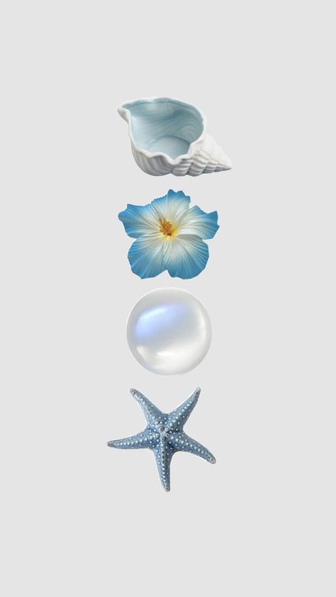 Shell Wallpaper, Blue Moodboard, Pearl Wallpaper, Dark Forest Aesthetic, Instagram Branding Design, Jelly Wallpaper, Graphic Shapes Design, Mermaid Wallpapers, Cute Summer Wallpapers