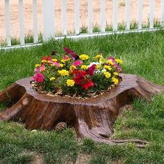 Removing Tree Stumps, Tree Stump Ideas, Tree Stump Decor, Stump Ideas, Tree Stump Planter, Tree Stumps, Trendy Tree, Tree Trunks, Tree Stump