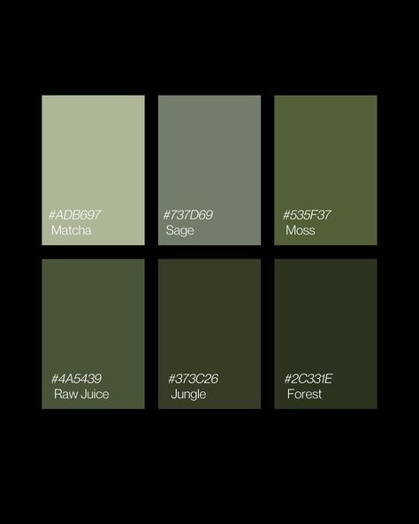 Color psychology in branding: Green health • wealth • nature • wellness #colorpsychology #pantones #greenpantone #colorpalette #branding Natural Green Colour Palette, Dark Olive Green Color Palette, Green Pantone Palette, Forest Green Colour Palette, Green Pallets, Wedding Color Palette Green, Green Branding Design, Pantone Green Colors, Green Pallet Color