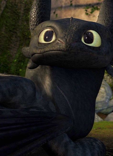 Cute Toothless, Httyd Toothless, Follow The Light, Night Fury Dragon, Dragon Family, Toothless Dragon, Hiccup And Astrid, Dreamworks Dragons, Httyd Dragons