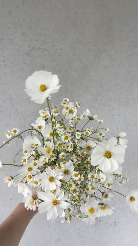 Small Daisy Flower Arrangements, Minimal Wedding Bouquet Simple, Daisy Wedding Theme Color Schemes, Daisies Wedding Bouquet, Daisy Bridesmaid Bouquet, Wedding Daisies, Daisy Wedding Theme, Montauk Daisy, Daisy Bridal Bouquet