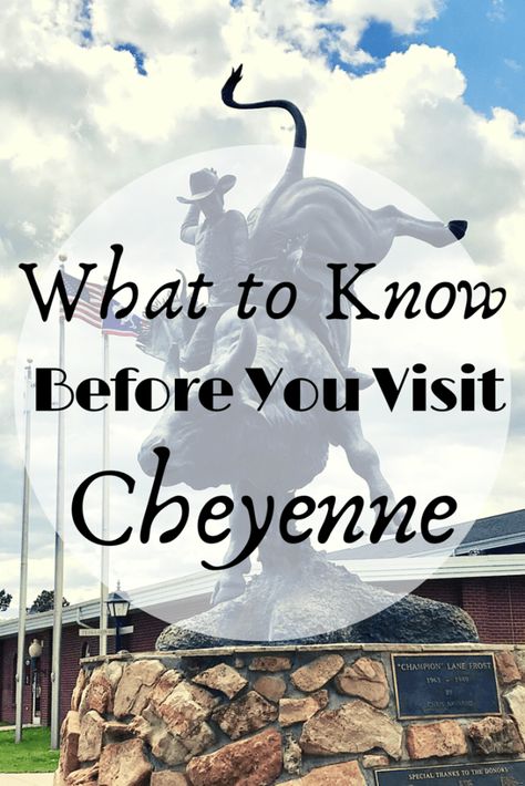 Wyoming Travel Road Trips, Cheyenne Frontier Days, Yellowstone National Park Vacation, Wyoming Vacation, Baked Meatballs, Cheyenne Wyoming, Yellowstone Trip, Jackson Wy, Wyoming Travel